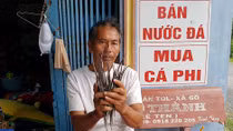 Thương lái Hải Phòng săn lùng cá ngựa xương ở Cà Mau