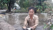 Ngập úng trên diện rộng vùng ngọt hóa tỉnh Cà Mau