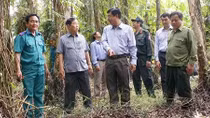 Giữ rừng U Minh Hạ an toàn cao điểm mùa khô