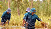 Hạn chế các hoạt động chưa cần thiết để khắc phục hậu quả thiên tai