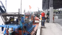 Sóc Trăng đưa vào vận hành Bến cá Mỏ Ó 
