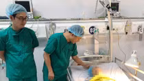 Cứu sống cụ bà U90 trong lúc giông lốc kinh hoàng 