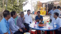 Cha đốn bạch đàn, con bị cây đè tử vong