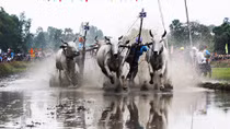 Rộn ràng lễ Sene Dolta của đồng bào Khmer Nam Bộ