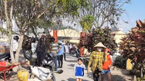 Bất chấp dịch COVID-19, nhiều người vẫn đi cúng thanh minh 