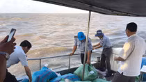 Thả 4,5 triệu con tôm giống về biển, tái tạo nguồn lợi thuỷ sản