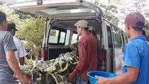 Thợ sơn bị điện giật rơi từ tầng 3 xuống đất