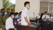 Nhóm thương lái trộm tôm ở Cà Mau hầu tòa 