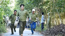 Trên 33.000 ha rừng ở Cà Mau có nguy cơ cháy rất cao