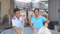 Tiêu hủy trên 570.000 con tôm giống không qua kiểm dịch
