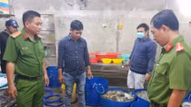 Cơ sở thu mua tôm bơm tạp chất vào tôm nguyên liệu