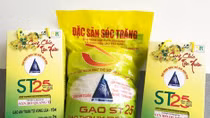 Giống lúa ngon nhất thế giới được cấp bằng bảo hộ 