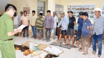 Triệt phá 2 trường gà quy mô lớn tại Bạc Liêu và Cà Mau 