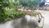 Trưởng Ban Tổ chức huyện Năm Căn tử vong bất thường dưới cống