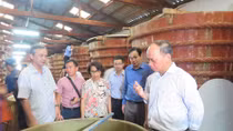Bảo vệ nước mắm truyền thống, gắn với khai thác bền vững nguồn lợi cá cơm