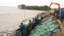 Chung tay bảo vệ đê biển Tây 