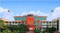 Bộ trưởng Bộ GD&ĐT chỉ đạo làm rõ vụ bảo vệ luận án tiến sĩ bằng chứng chỉ ngoại ngữ trái phép