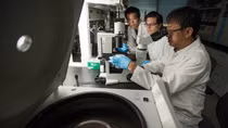 Mỹ-Trung Quốc tìm ra phương thuốc có thể trị khỏi Zika và HIV?