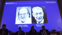 Hy vọng mới về điều trị ung thư sau khi giải Nobel Y học được công bố