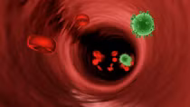 Israel tìm ra “chiến binh mới” có thể tiêu diệt hoàn toàn virus HIV