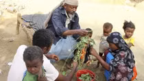 Người dân Yemen phải ăn lá cây vì đói do chiến tranh 