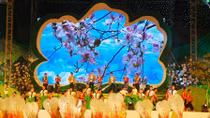 Lễ hội Hoa ban năm 2017