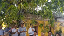 Công nhận thêm 5 cây di sản tại tỉnh Nam Định