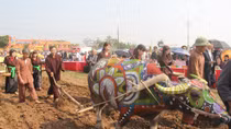 Lễ hội Tịch điền Đọi Sơn năm 2017 được tổ chức trong 3 ngày