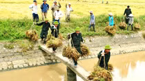 Chỉ còn 2 ngày để nhận tác phẩm ảnh dự thi "Vì bình yên cuộc sống"