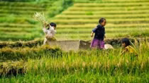“Tiếng vọng Tây Bắc” tại Hà Nội