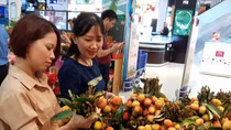 500 tấn vải thiều Lục Ngạn có mặt tại chuỗi bán lẻ Saigon Co.op