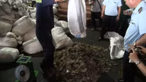 Phát hiện, thu giữ gần 4 tấn vảy tê tê nhập lậu