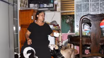 Người phụ nữ 18 năm nhặt chó bị bỏ rơi về nuôi