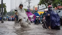 Mưa lớn lúc rạng sáng, đường ngập, cây gãy đổ