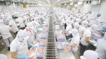 Sẽ sửa đổi những vướng mắc về an toàn thực phẩm