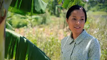 Chất lượng phim điện ảnh còn hạn chế