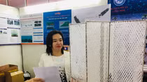Khi những giấc mơ Việt thành hiện thực