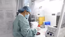 Bệnh nhân mắc Zika ở Nhật là người Đức sống tại Việt Nam