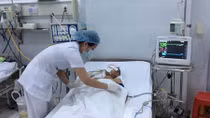 Bệnh viêm não Nhật Bản đang ở đỉnh dịch