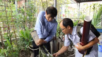 Phát hiện nhiều ổ bọ gậy ở nơi Đội xung kích đã kiểm tra