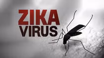 (SOS) Singapore phát hiện 41 người mắc viriut Zika