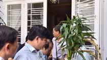 Bộ Y tế đề nghị các tỉnh phối hợp phòng, chống bệnh sốt xuất huyết