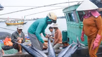 Bộ Y tế chưa có kết luận cuối cùng về mức độ an toàn của thủy sản sau thảm họa Formosa