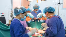 2 bệnh viện phối hợp ghép đa tạng, tái sinh cho 3 bệnh nhân 