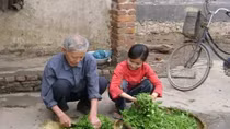 Việt Nam đối mặt với tốc độ già hóa dân số quá nhanh