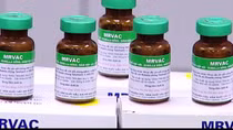 Từ tháng 4-2018, vaccine nội sẽ thay thế vaccine ngoại