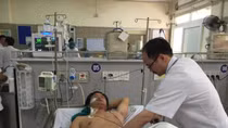 3 người nguy kịch vì ăn ngộ độc nấm rừng