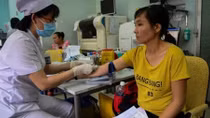 Nỗi lo virus Zika của thai phụ: Không nên quá hoang mang 