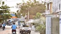 Xử phạt những người không thực hiện biện pháp phòng dịch virus Zika 