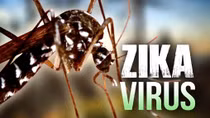 Thêm một bệnh nhân mắc Zika sau khi trở về từ Việt Nam